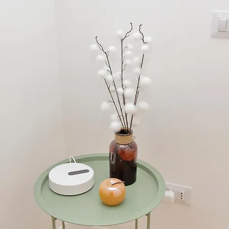 Nature Flat * Rom